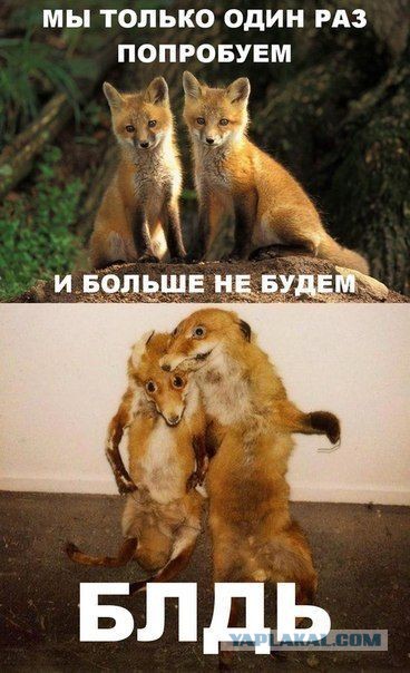 NASA строит звездолёт.