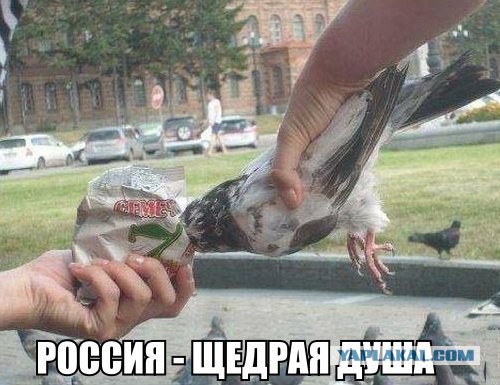 Улыбнуло часть "2"