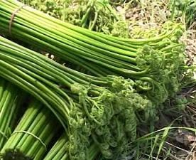 Котлетосы из лося