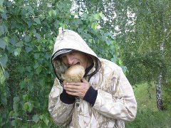 Картинки, вроде смешные.