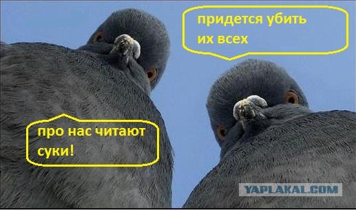 "Вот она пришла весна, как паранойя!"(с) :)
