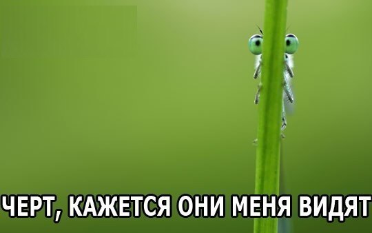Истории от врачей 20