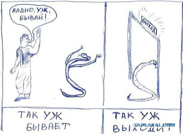 Картинки