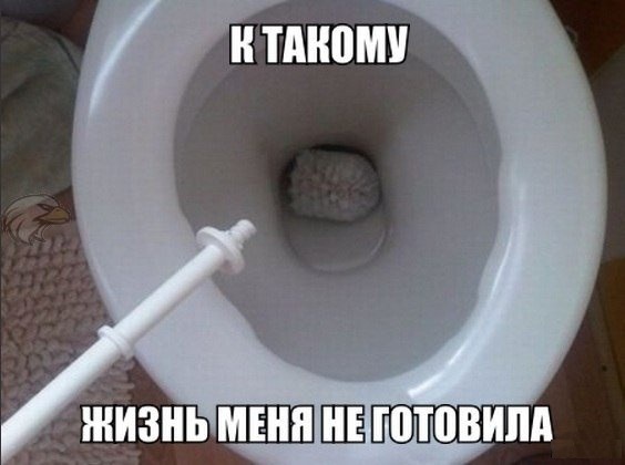 Веселости из сети