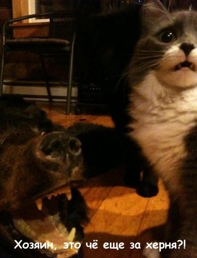 Фотостресс