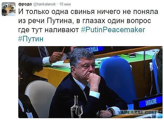 Генассамблея. Реакция в соцсетях