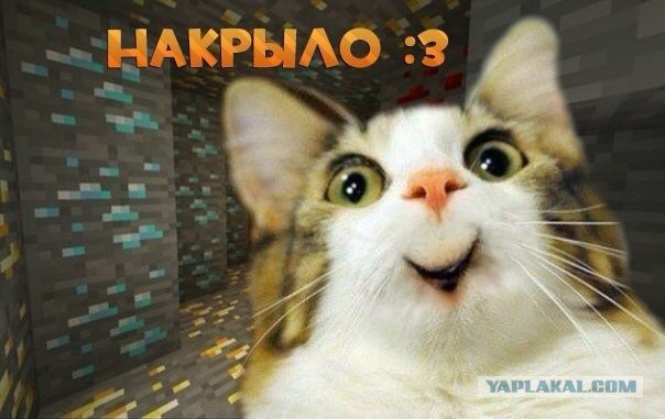 Нестандартный ЯПовчанин, привет Олеся!