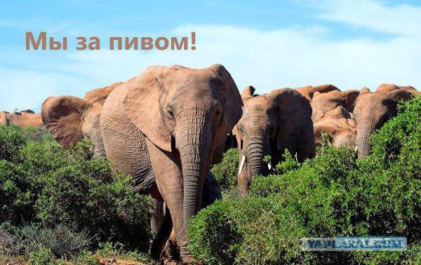 Ура... Пятница!