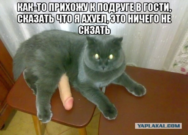 Кузенька