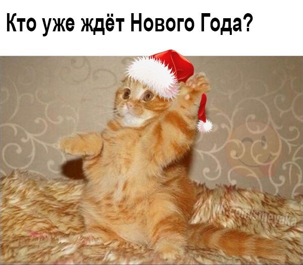 А давайте улыбнёмся