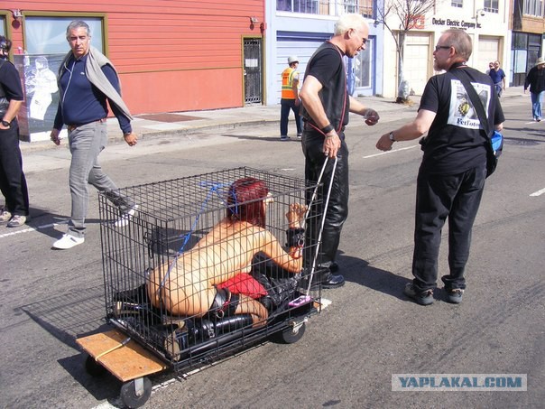 Ужасы и приколы из соцсетей 18+