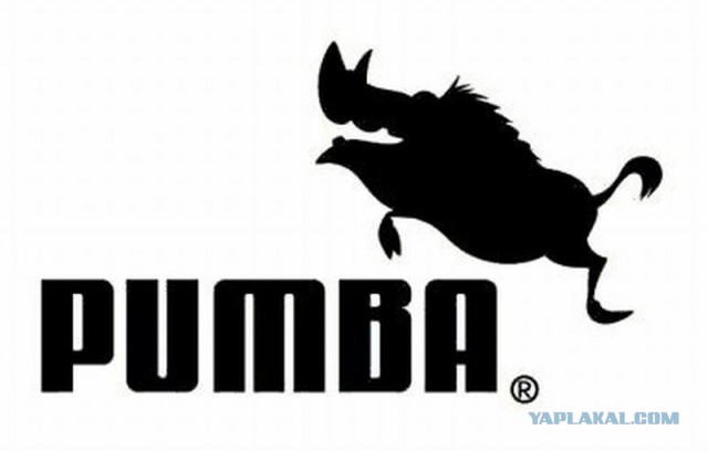 Противостояние брендов: Adidas против Puma