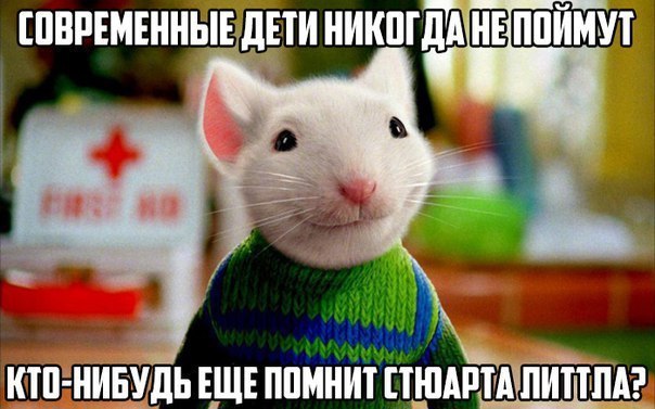 Пучок смешных картинок