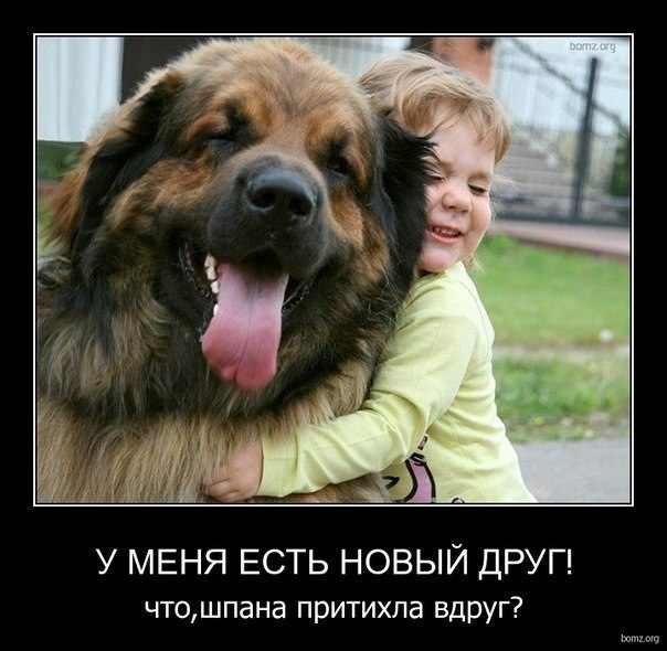 Веселые картинки