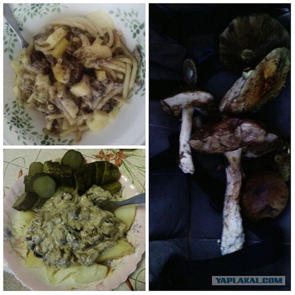 Кухня (кулинарное и околокулинарное общение)