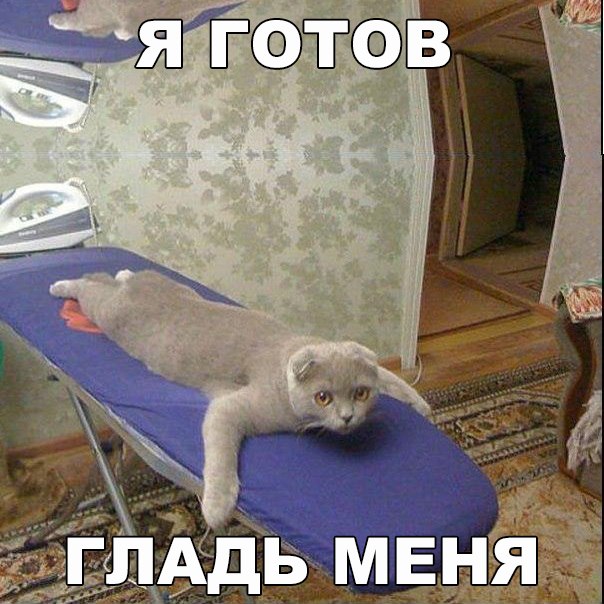 Мохнатые беспредельщики