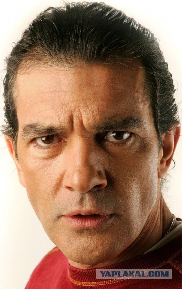 Ох уж эти выдры! Сколько эпатажа