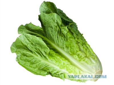 Кухня (кулинарное и околокулинарное общение)