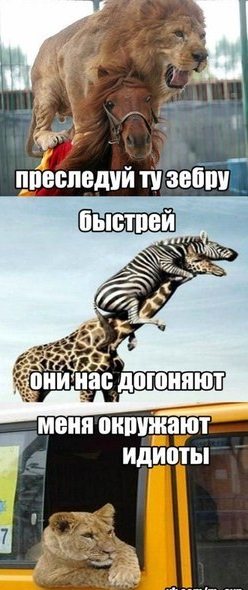 Наркоман, штоле? Тогда заходи