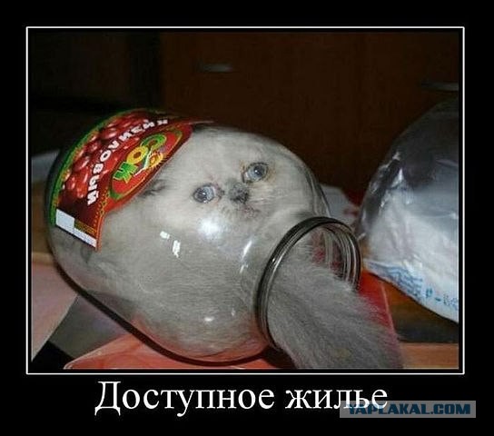 Веселые надписи и картинки