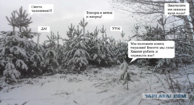 Обколются своей марихуаной
