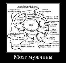 О женщинах в картинках – уголок мужского шовиниста (30+)
