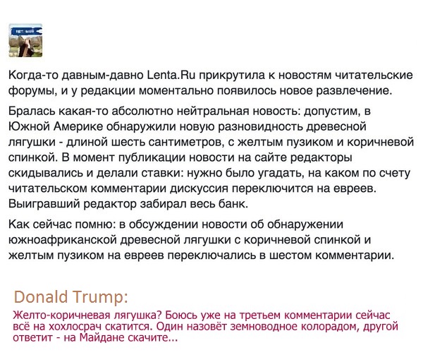 Подборка интересных и веселых картинок