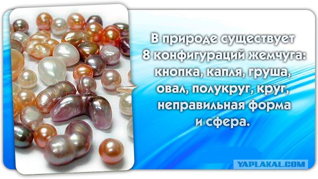 56 неожиданных фактов о большинстве которых вы не знали.