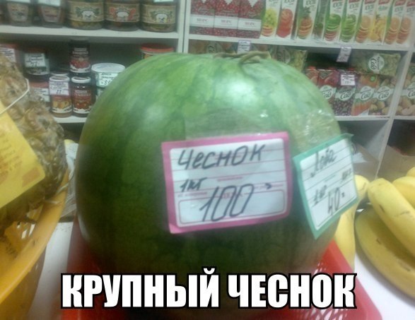 Подборка безудержного веселья