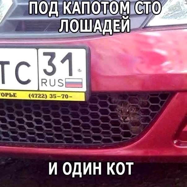 Подборка безудержного веселья