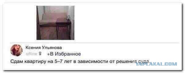 Ужасы и приколы из соцсетей 18+
