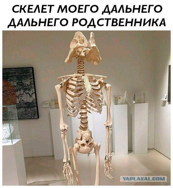 Нестандартный юмор