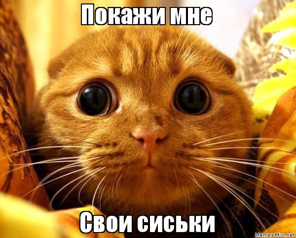 Чемпионат Мира по футболу.Россия 2018.