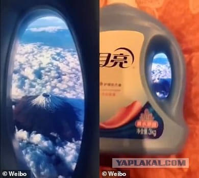 А вы можете себе позволить такой отпуск?