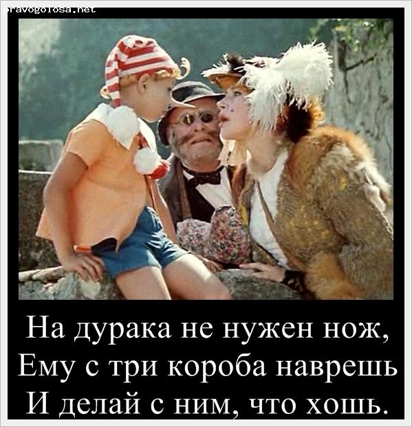 Доброкачественный лимфоретикулез или при чем здесь кошки?