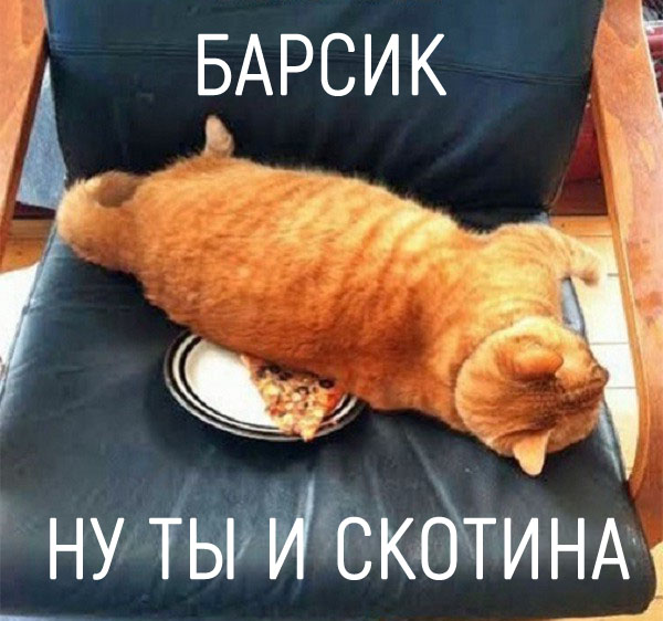 Немного картинок для настроения 18.01.20