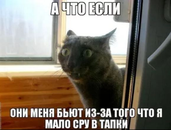 Про го*но