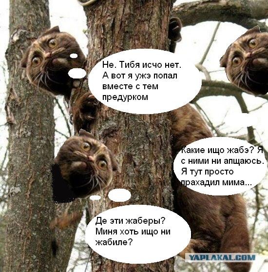 Фотожаба: Знатный Зверюга