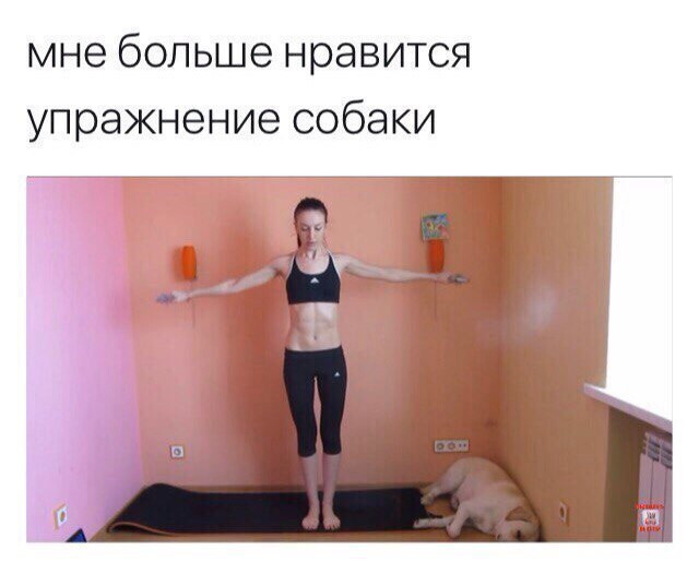 Фотки и картинки: юморные и красивые, забавные и милые 21.10.20