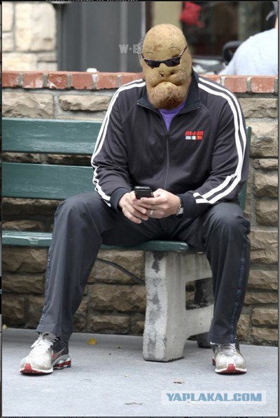 Фотожаба: Ну что же ты, Морфеус?!