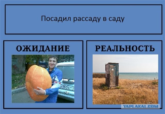 Фотожаба: Ожидание / Реальность