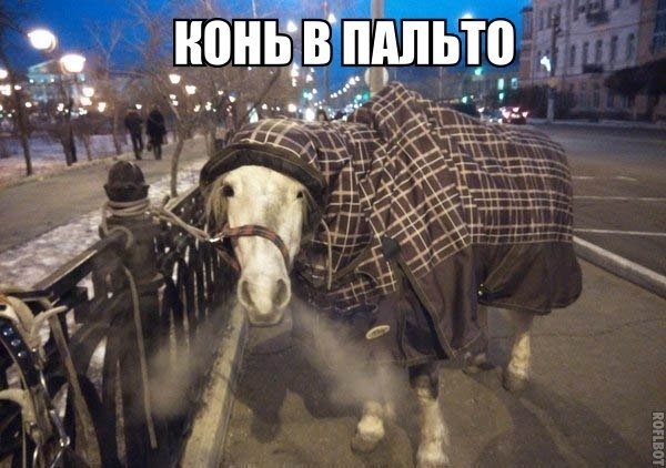 Прикольные и просто красивые картинки 09.03.2021