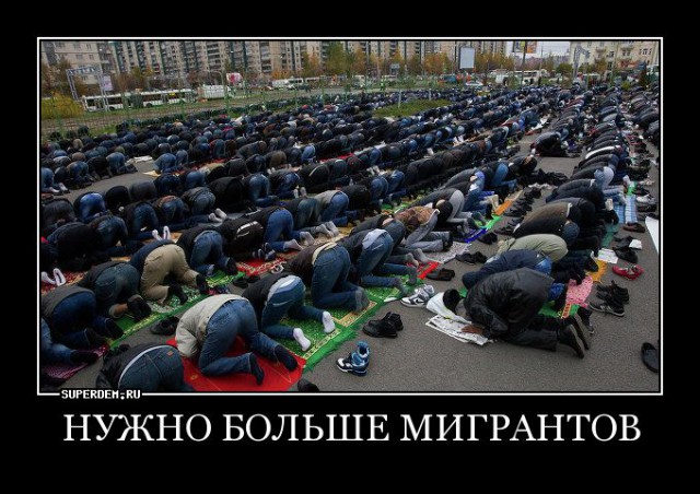 Мигрант напал на сотрудницу полиции в Петербурге