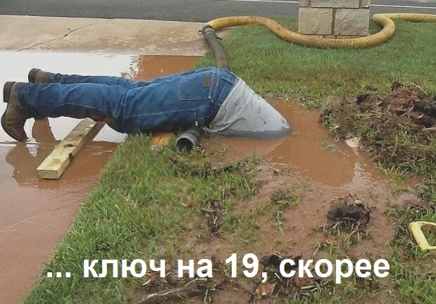 Картинки и мемы для настроения 029