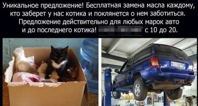 Картинки и мемы для настроения
