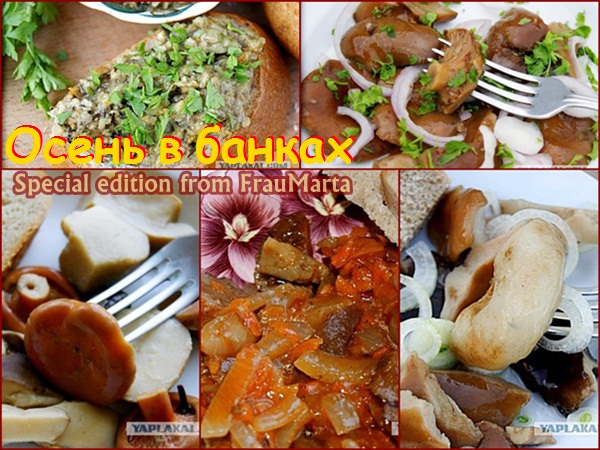 Осень в банках