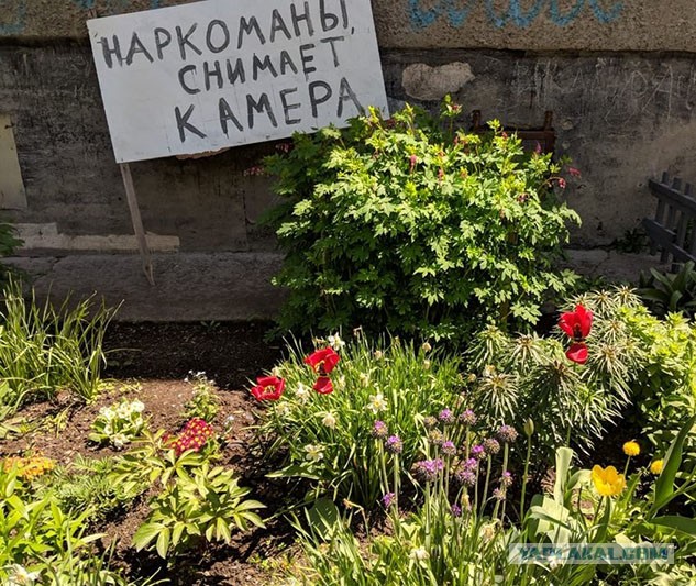 Филадельфия, Кенсингтон авеню
