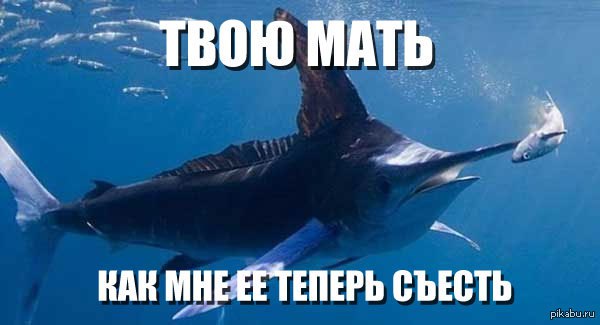 Рыбов, показываю. Красивое