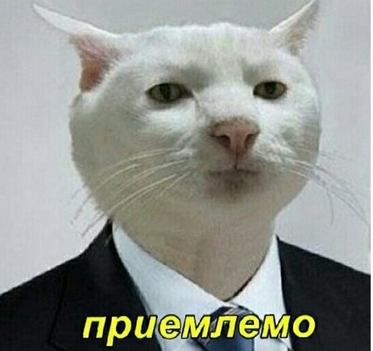 Чуток картинок 19.12.21