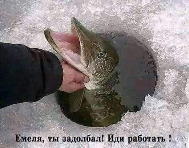 Всяческие картинки 22.12.2021